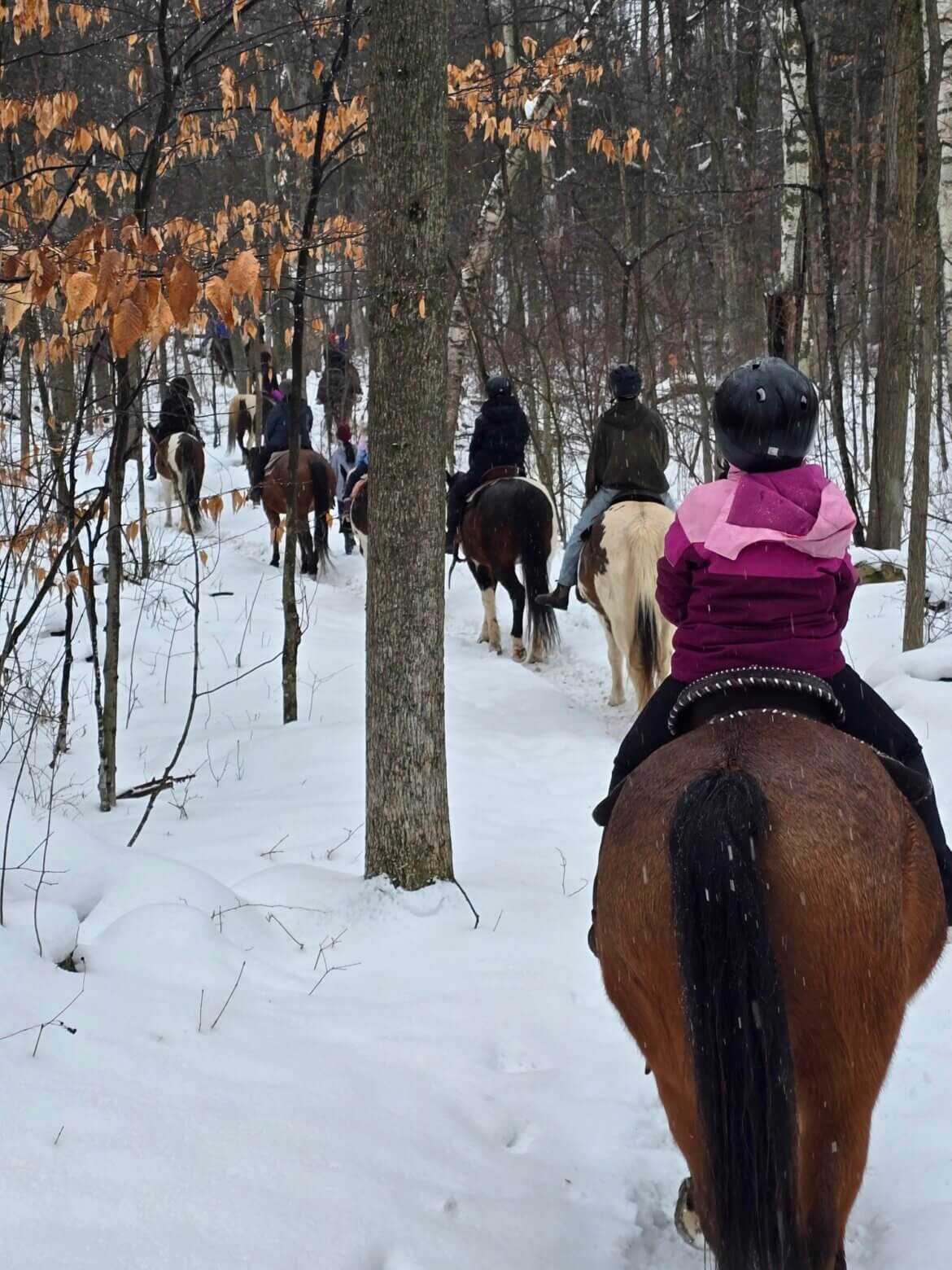 Winter on horseback