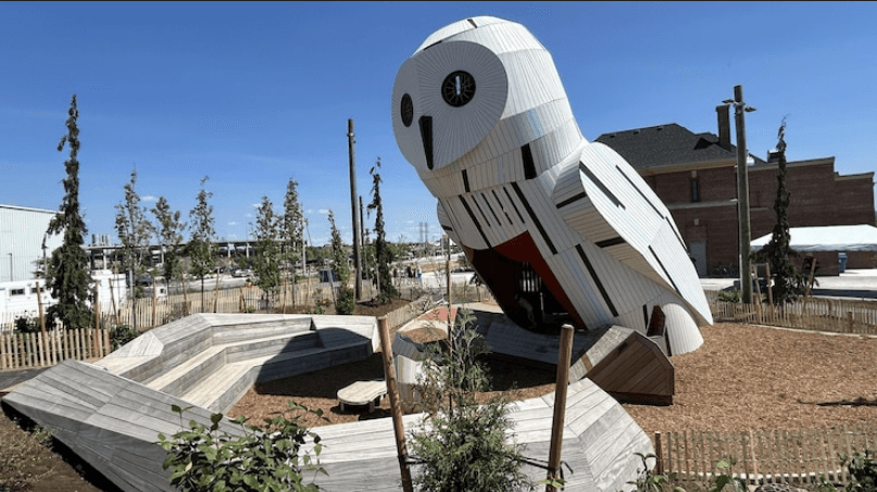 Sea Scout Newsletter – Feb ’26